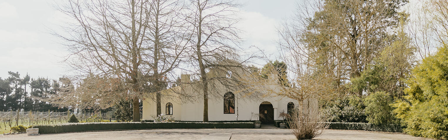 Darjon Vineyard